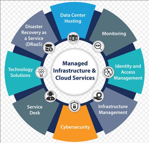 network service pic